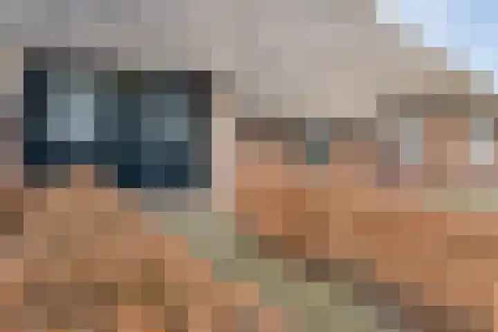 Koekanger Dwarsdijk 83 Koekange thumbnail 9
