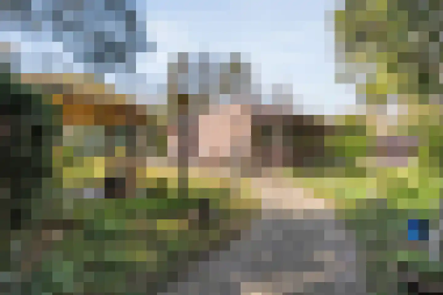 Koekangerveldweg 26 Koekange thumbnail 10