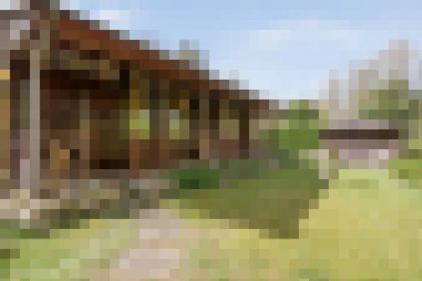 Koekangerveldweg 26 Koekange thumbnail 12