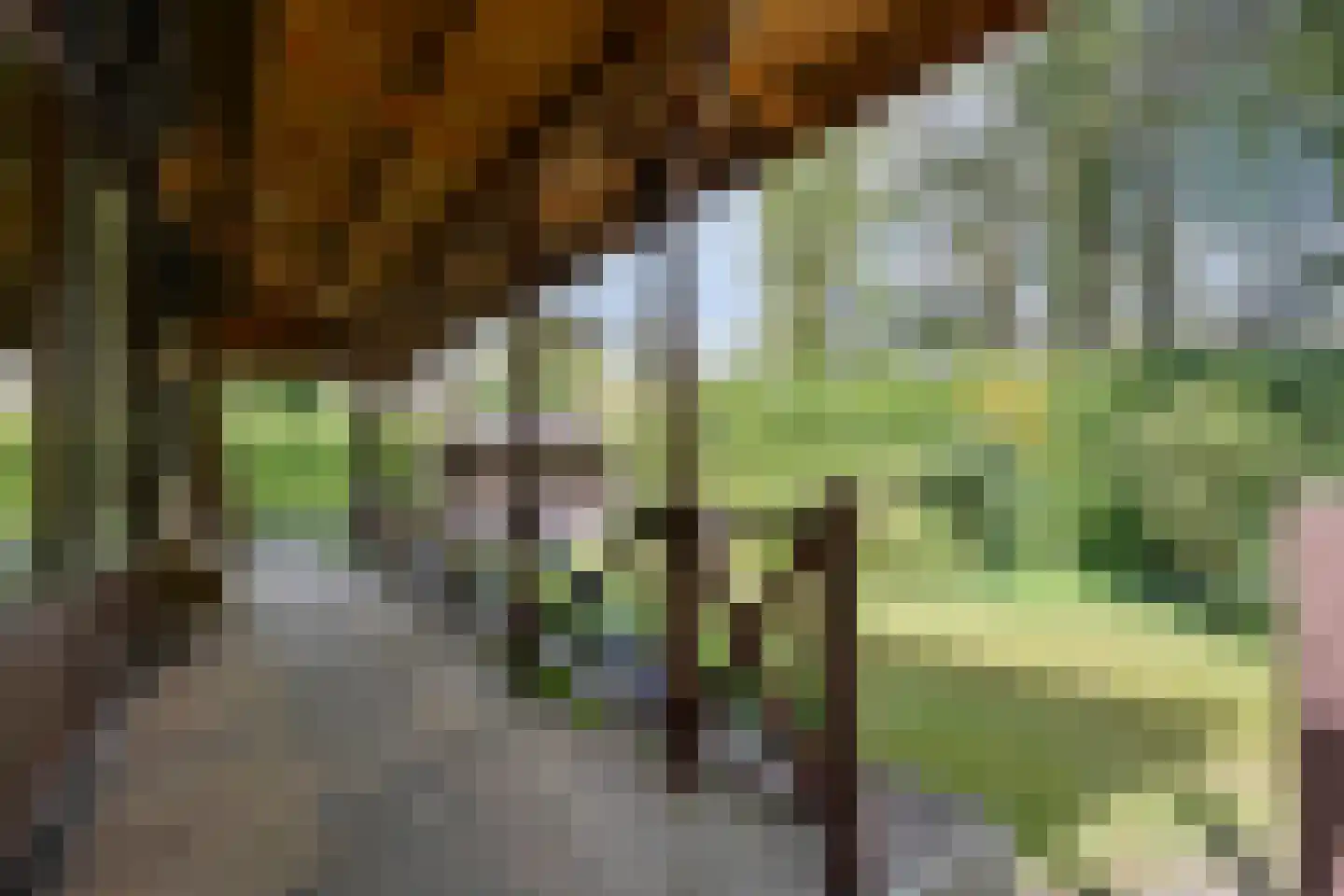 Koekangerveldweg 26 Koekange thumbnail 13