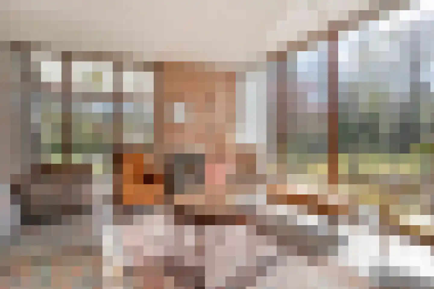 Koekangerveldweg 26 Koekange thumbnail 18