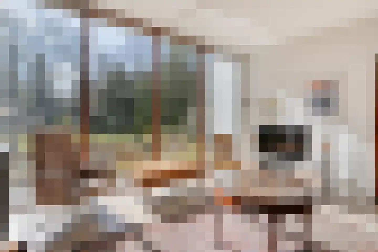 Koekangerveldweg 26 Koekange thumbnail 20