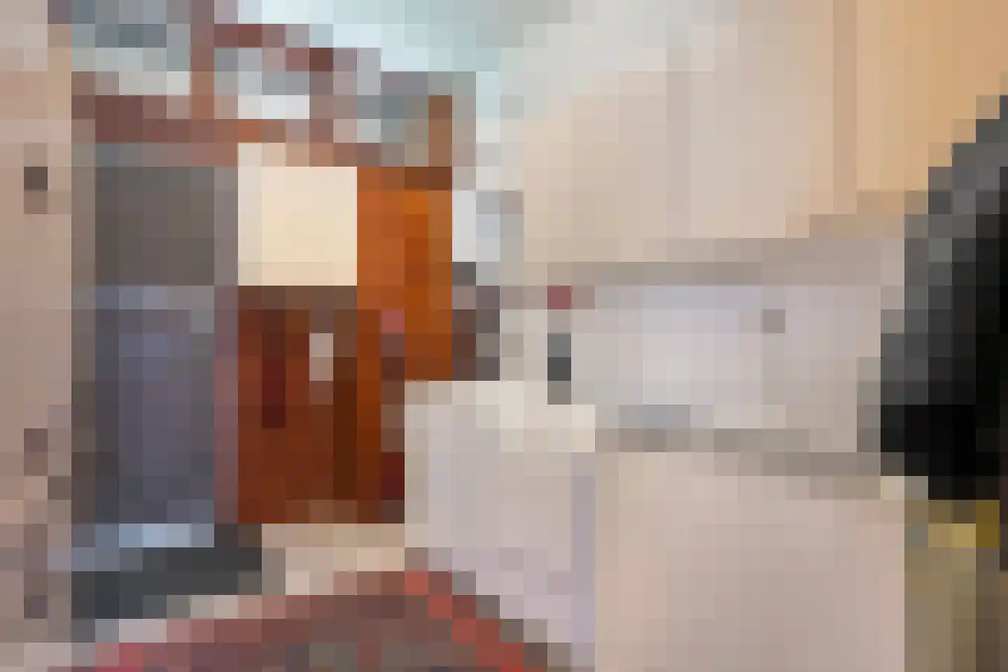 Koekangerveldweg 26 Koekange thumbnail 28