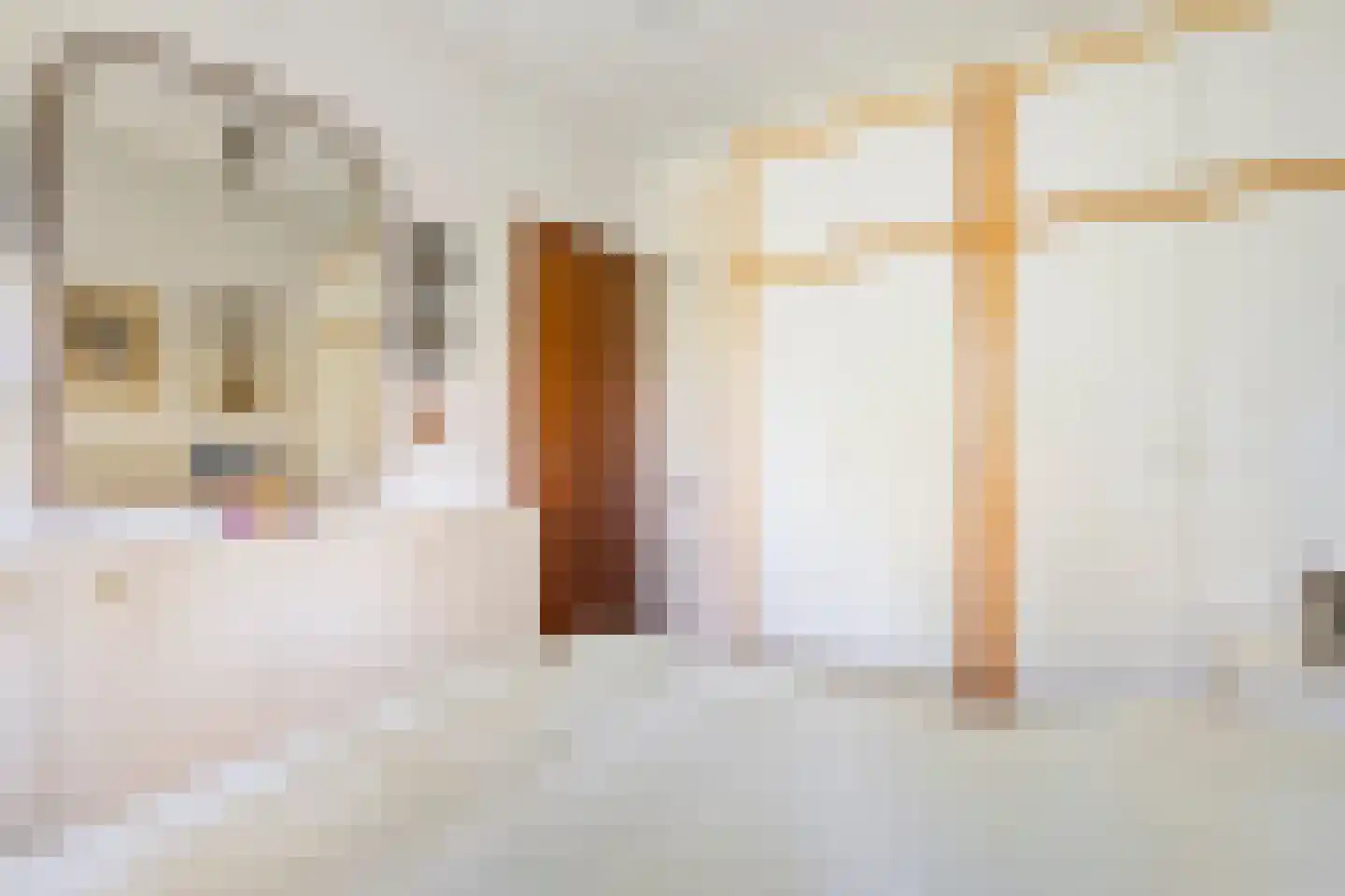 Koekangerveldweg 26 Koekange thumbnail 34