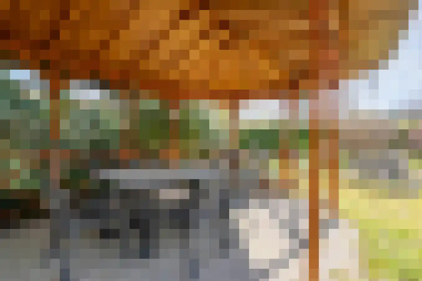 Koekangerveldweg 26 Koekange thumbnail 36