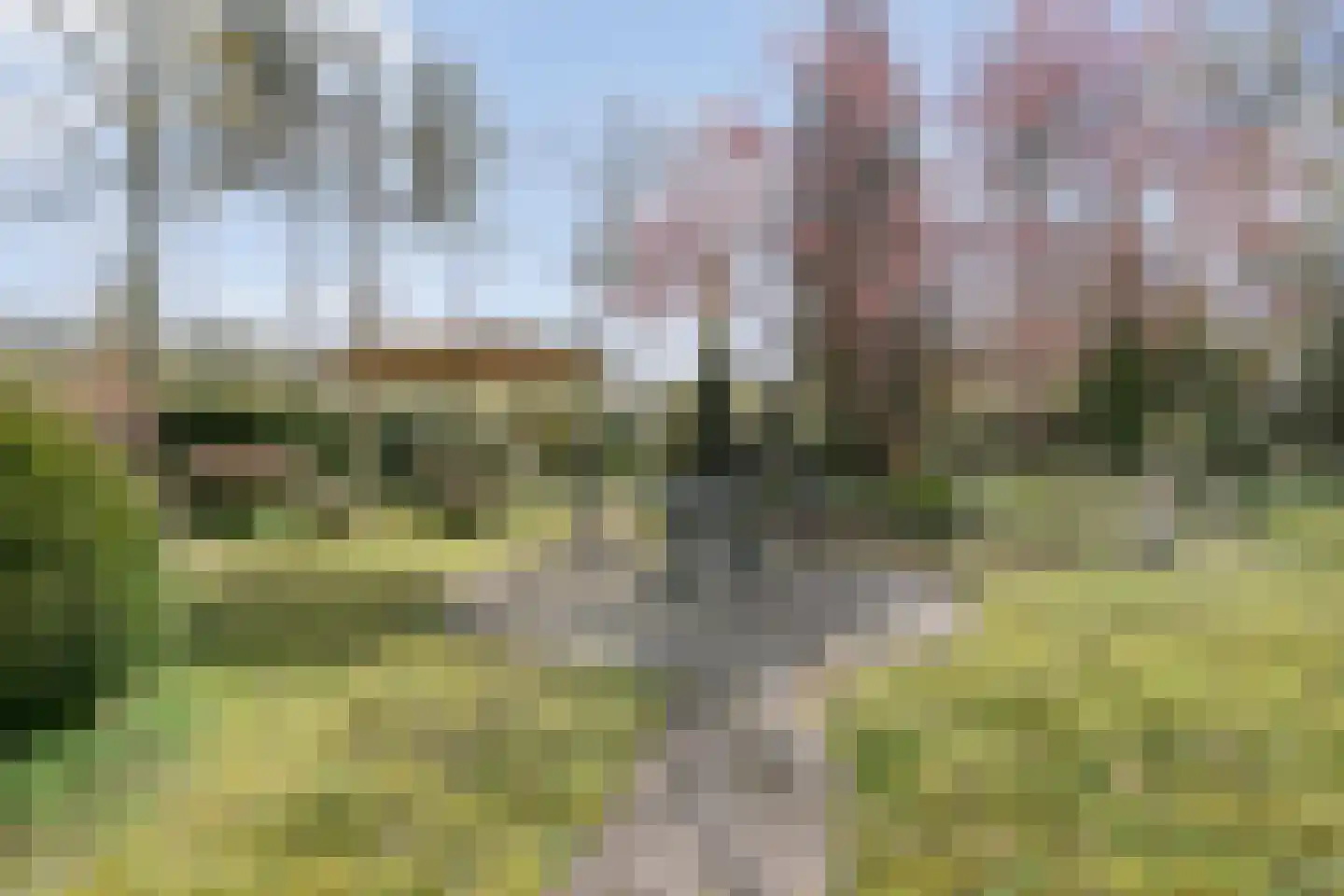 Koekangerveldweg 26 Koekange thumbnail 39