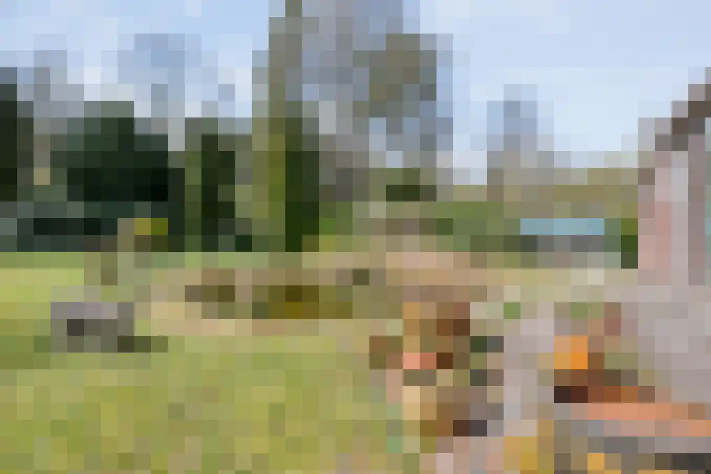 Koekangerveldweg 26 Koekange thumbnail 40