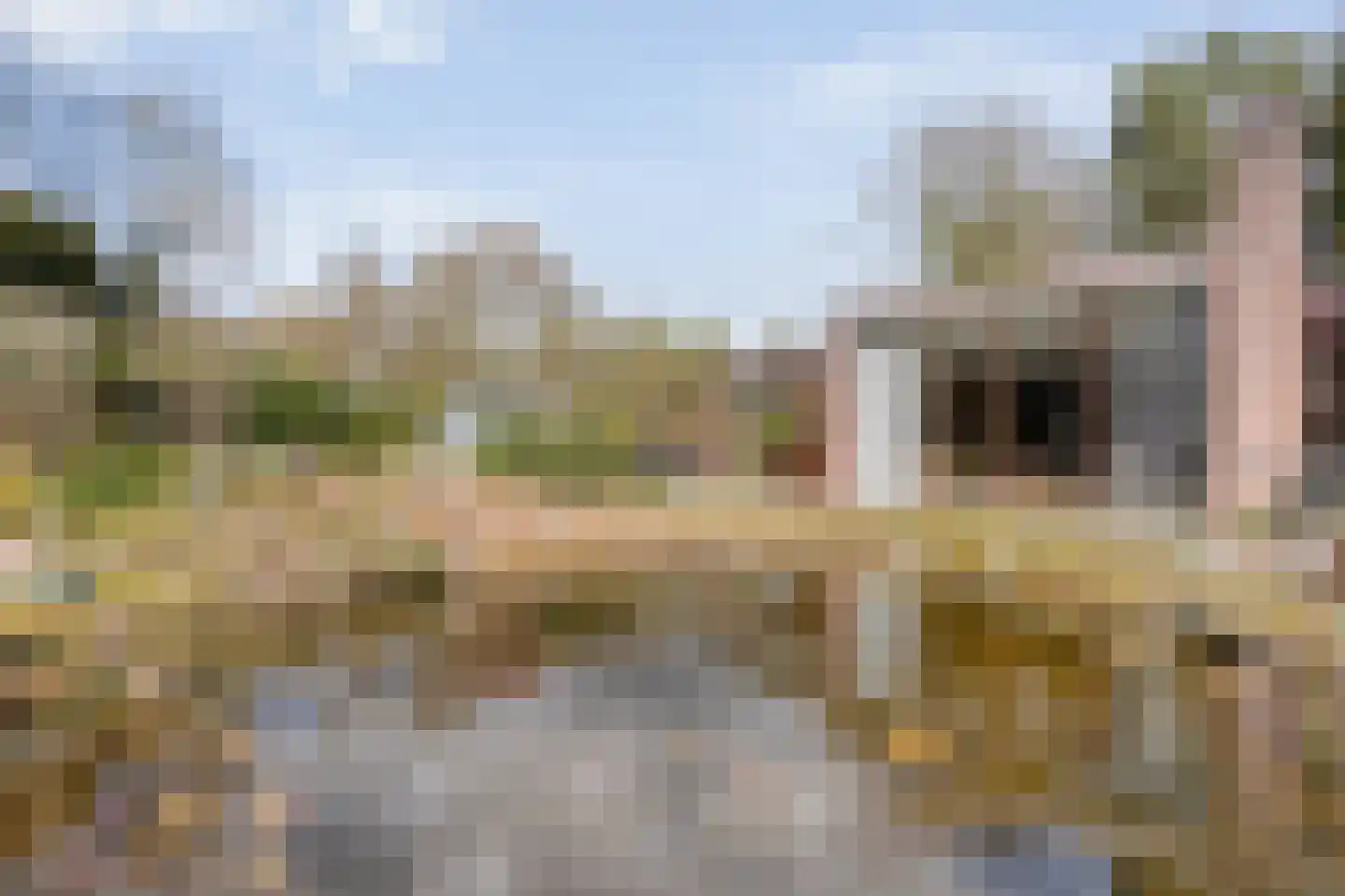 Koekangerveldweg 26 Koekange thumbnail 41