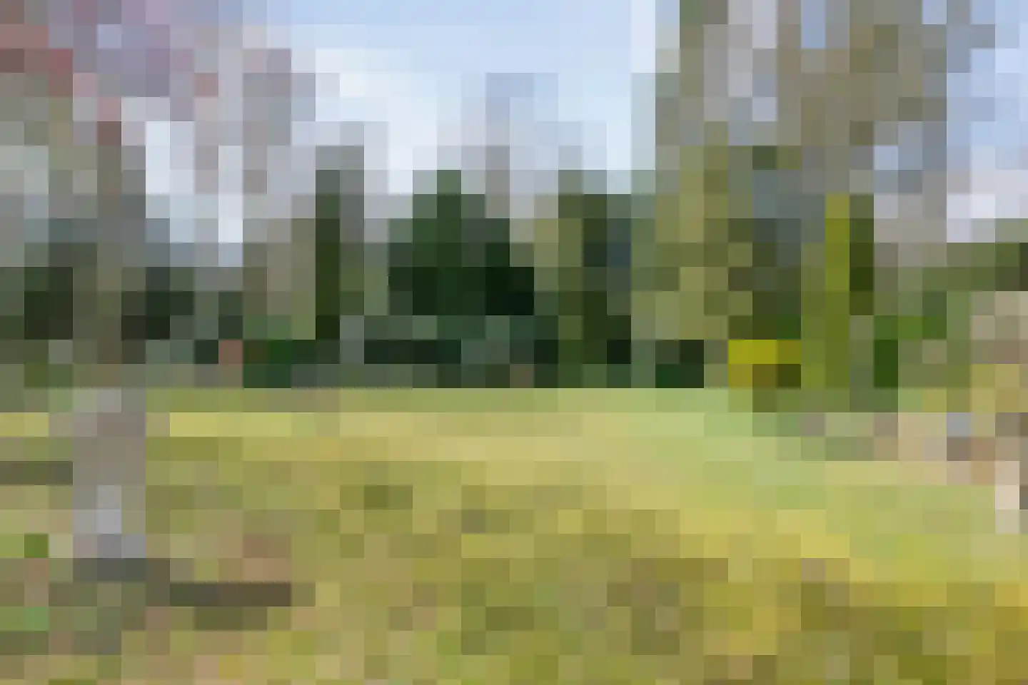 Koekangerveldweg 26 Koekange thumbnail 42