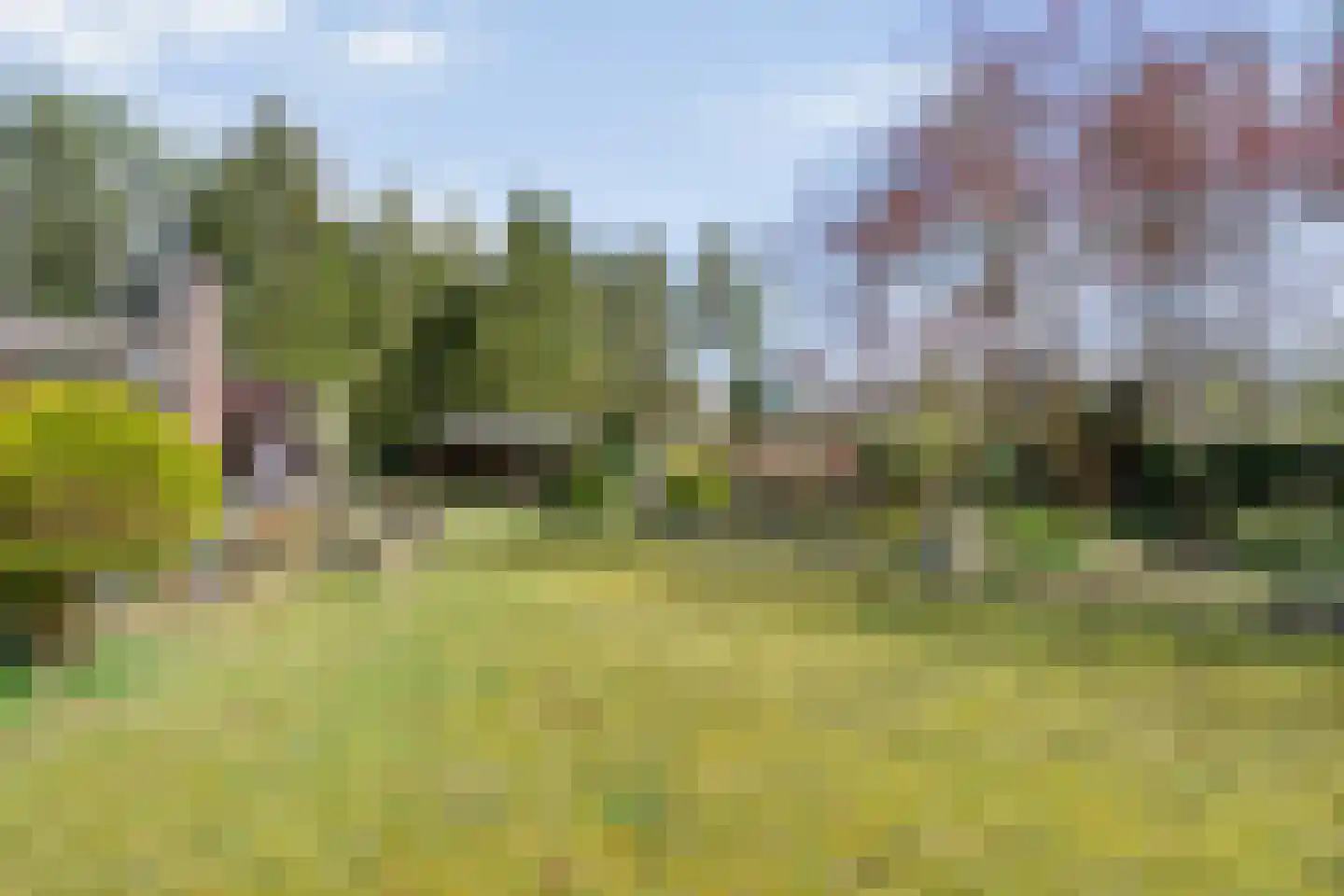 Koekangerveldweg 26 Koekange thumbnail 43