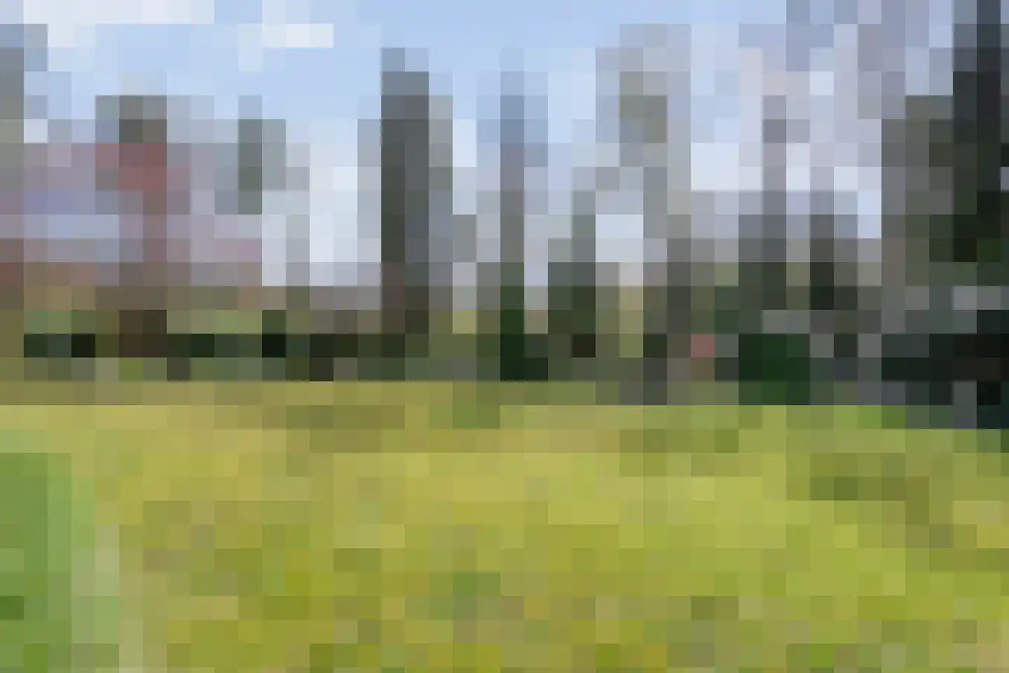 Koekangerveldweg 26 Koekange thumbnail 44