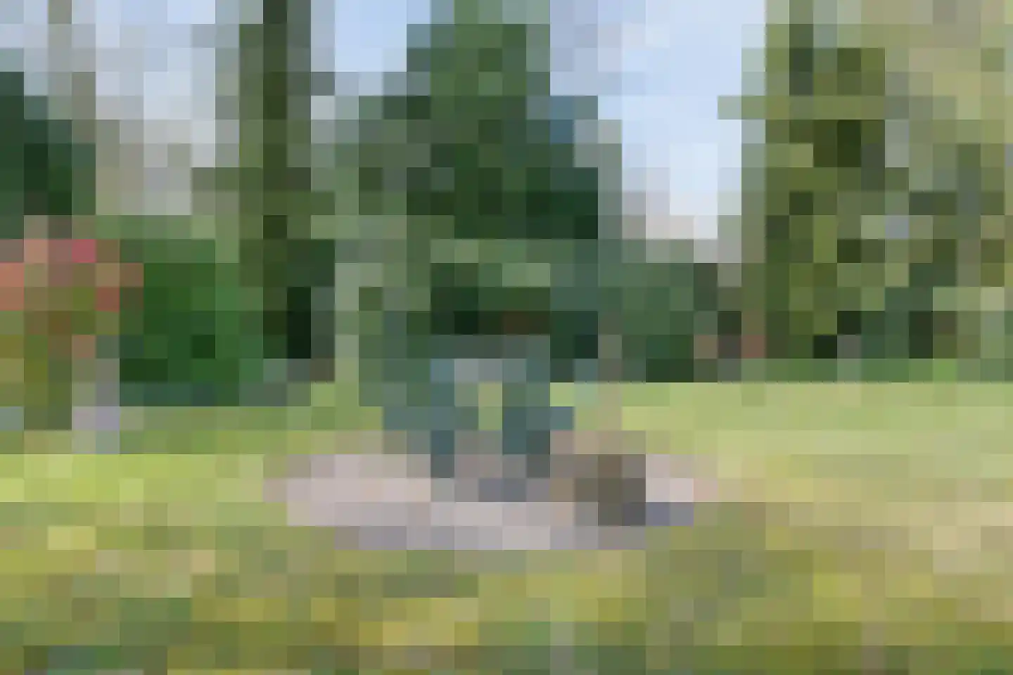 Koekangerveldweg 26 Koekange thumbnail 45