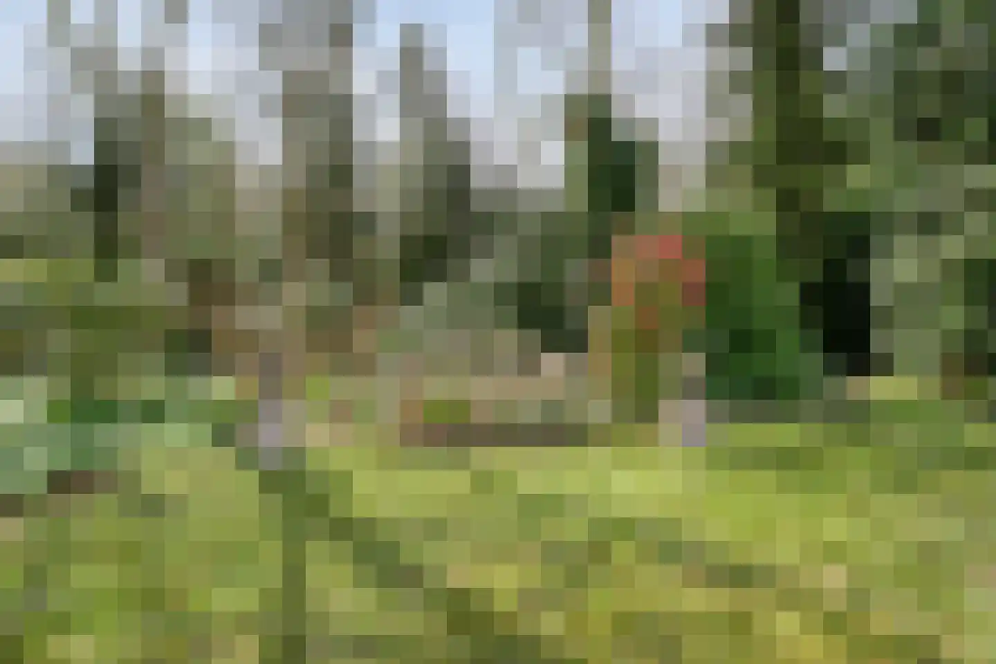 Koekangerveldweg 26 Koekange thumbnail 46