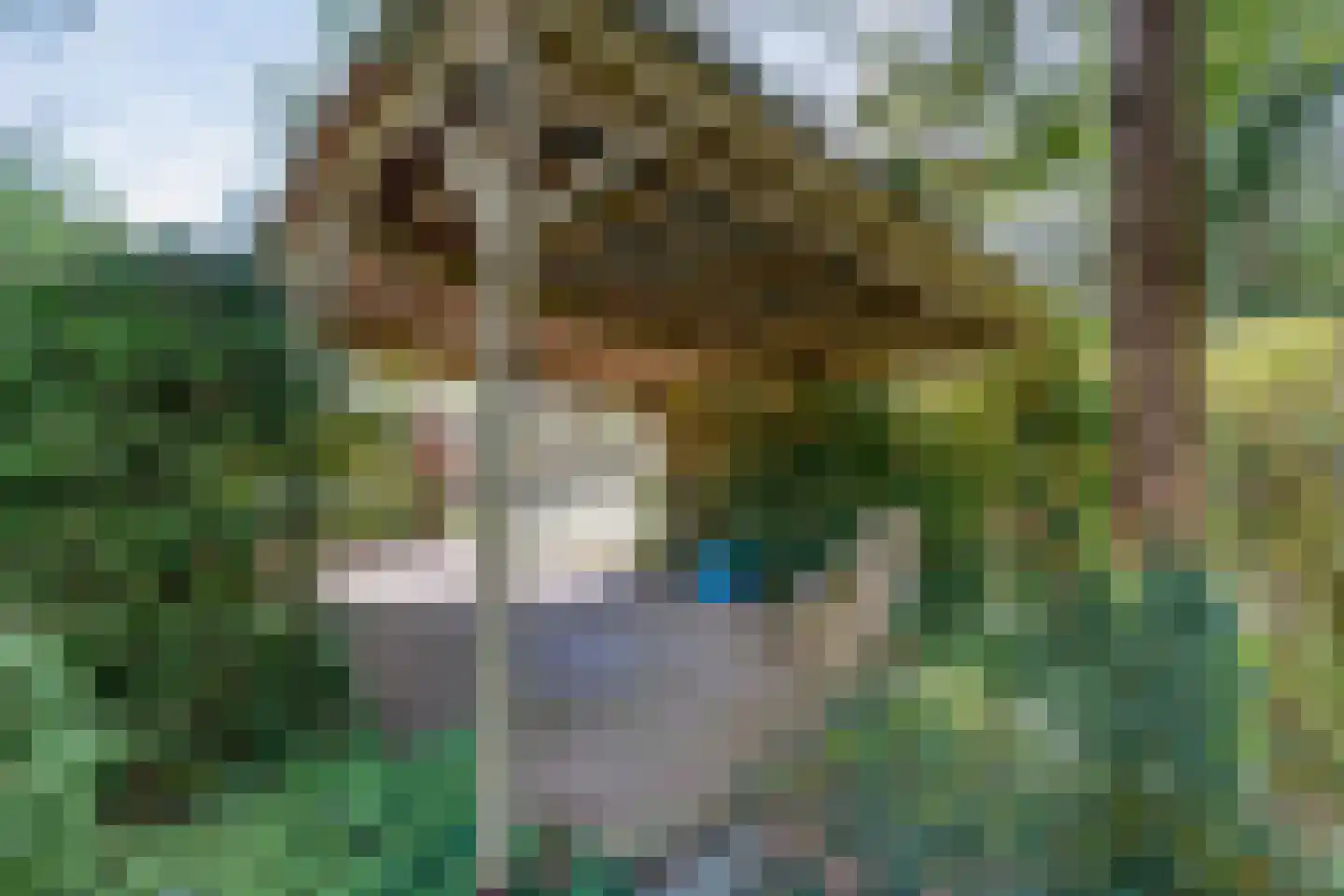Koekangerveldweg 26 Koekange thumbnail 47