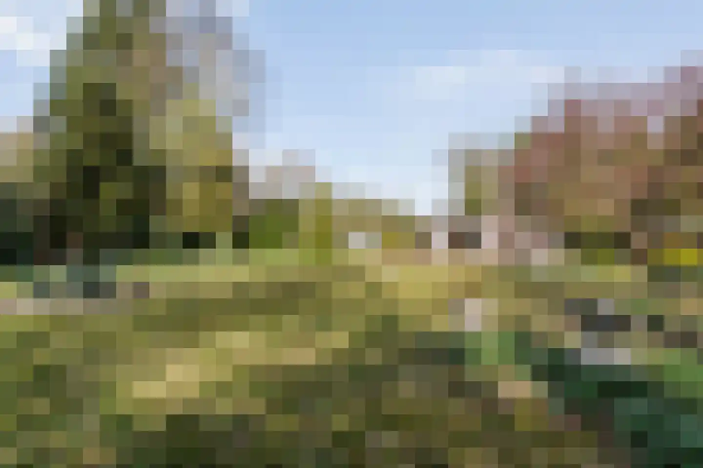 Koekangerveldweg 26 Koekange thumbnail 48