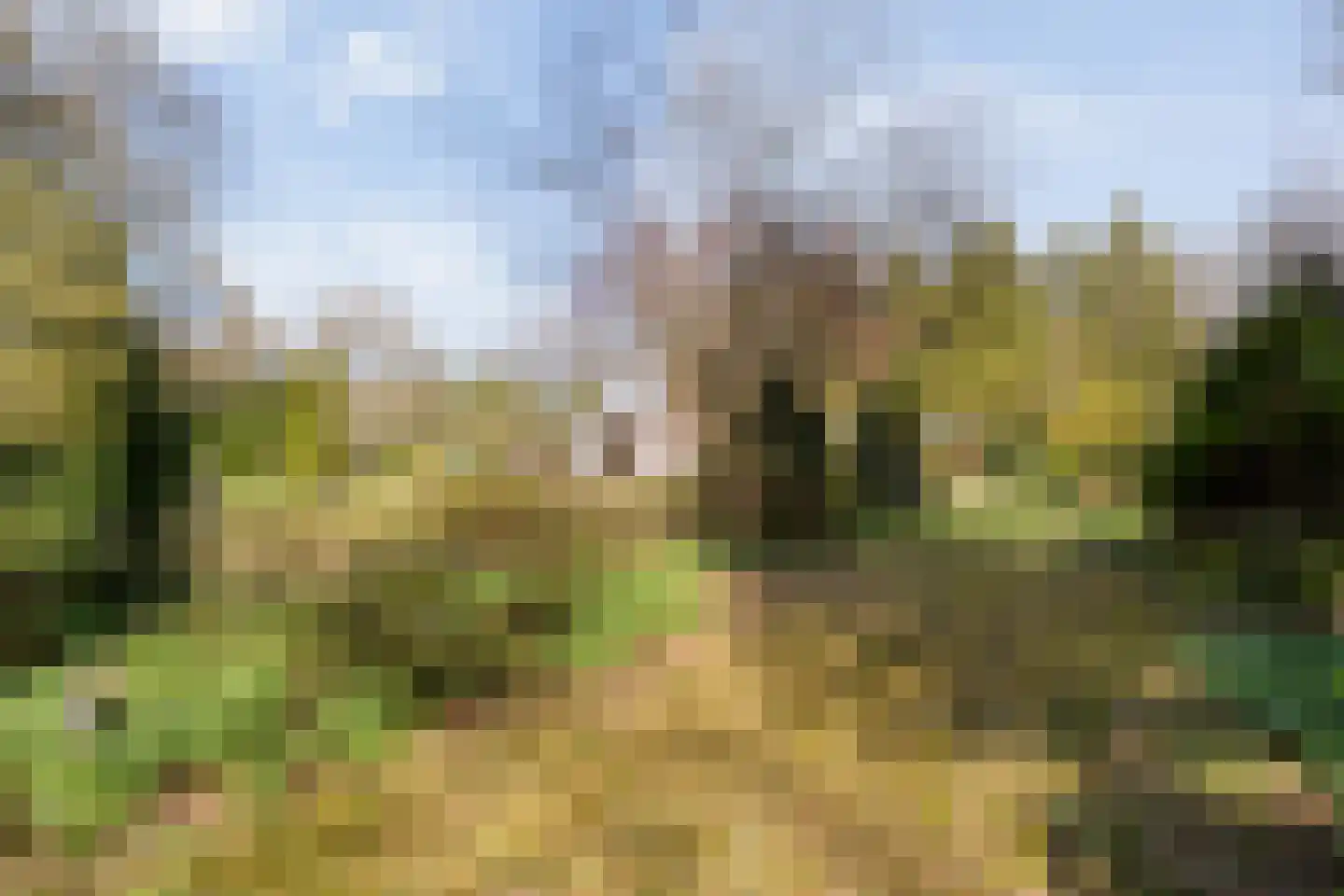 Koekangerveldweg 26 Koekange thumbnail 49