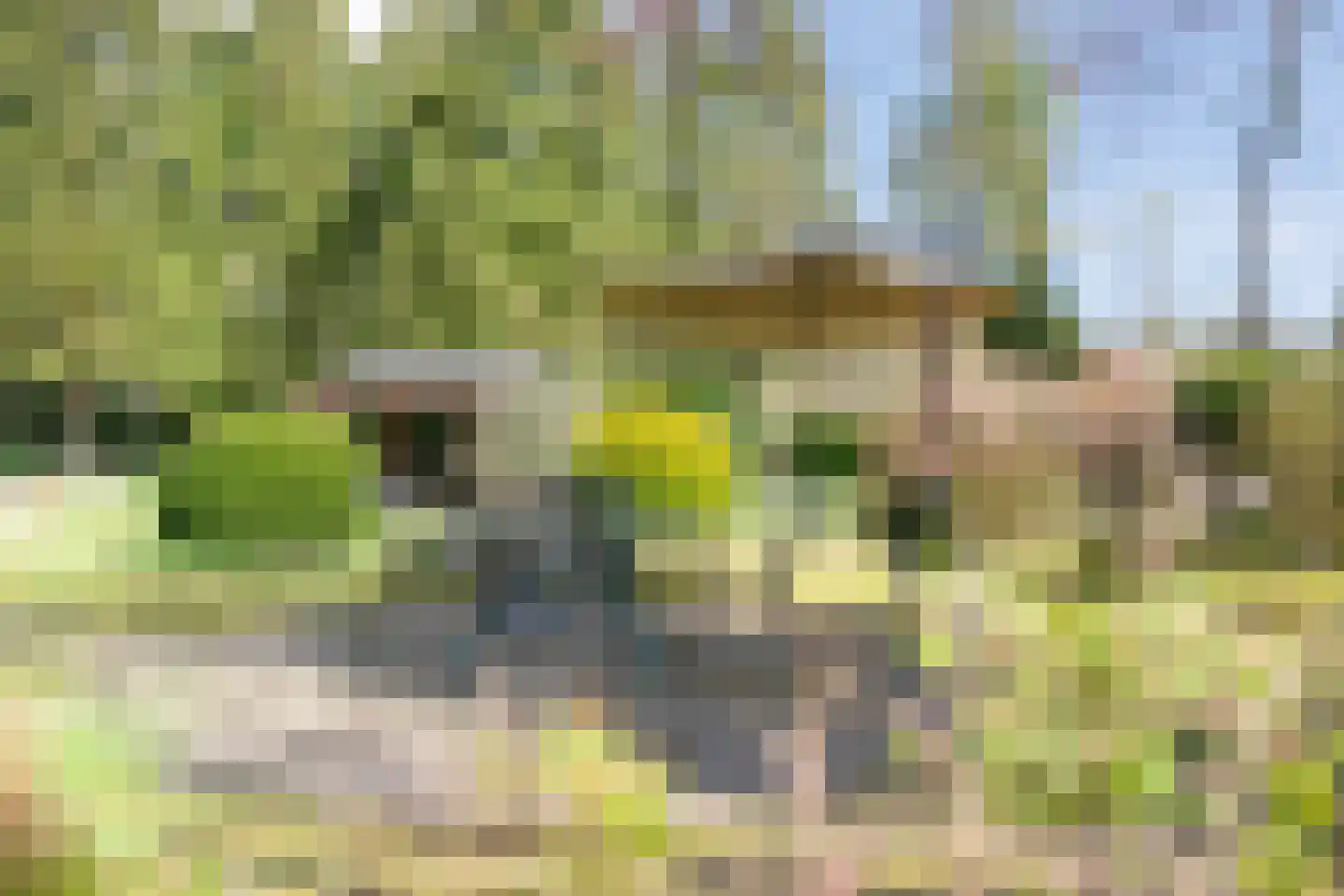 Koekangerveldweg 26 Koekange thumbnail 50