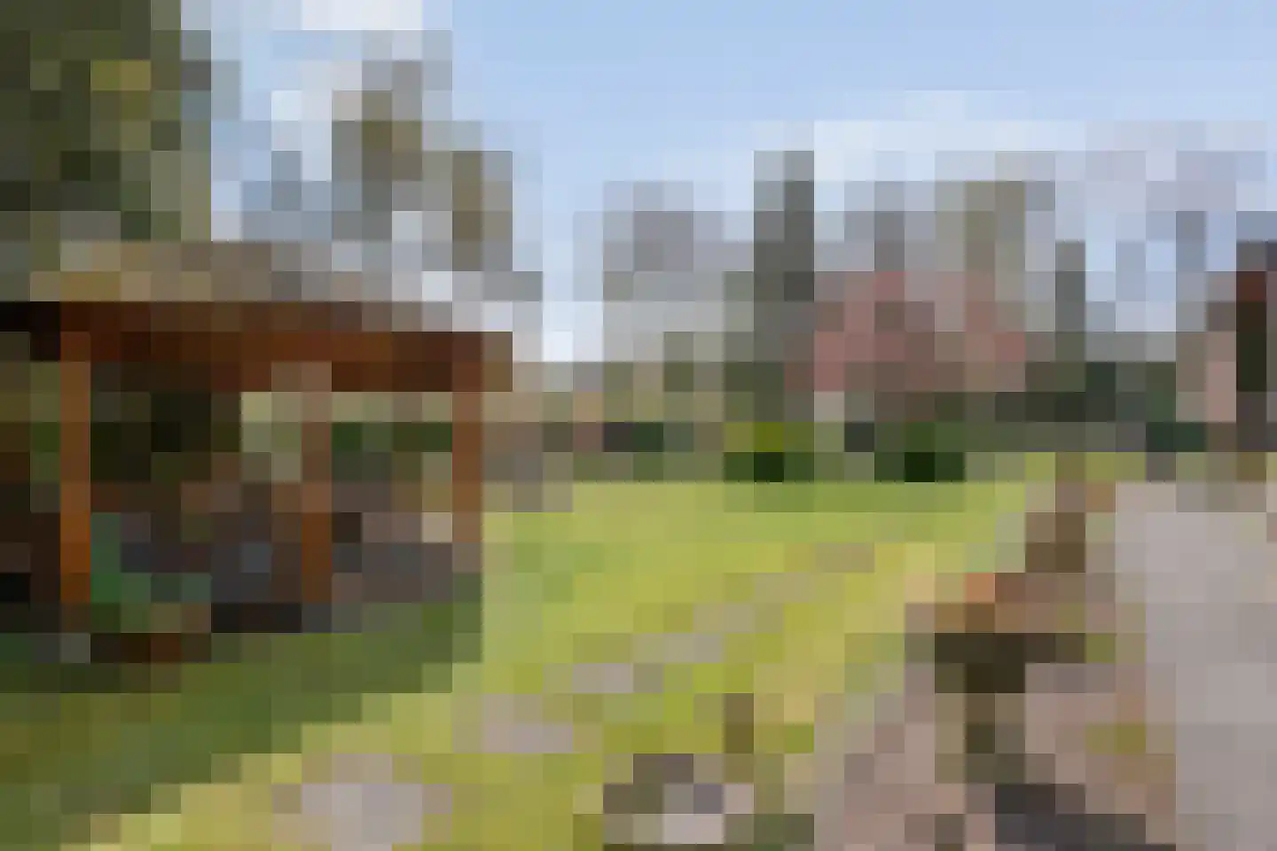 Koekangerveldweg 26 Koekange thumbnail 52