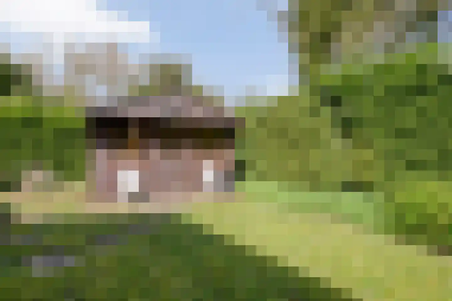 Koekangerveldweg 26 Koekange thumbnail 53