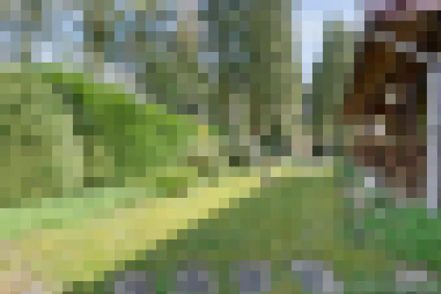 Koekangerveldweg 26 Koekange thumbnail 54