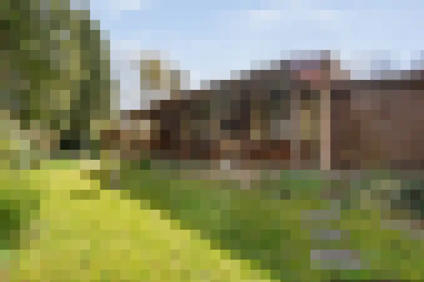 Koekangerveldweg 26 Koekange thumbnail 55