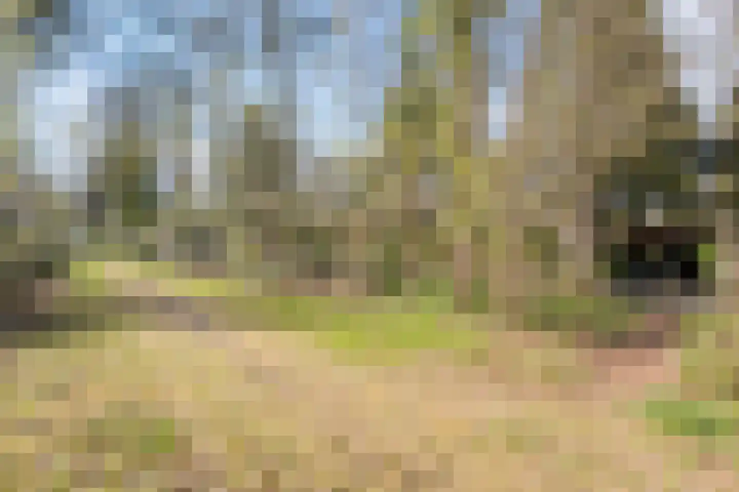Koekangerveldweg 26 Koekange thumbnail 56