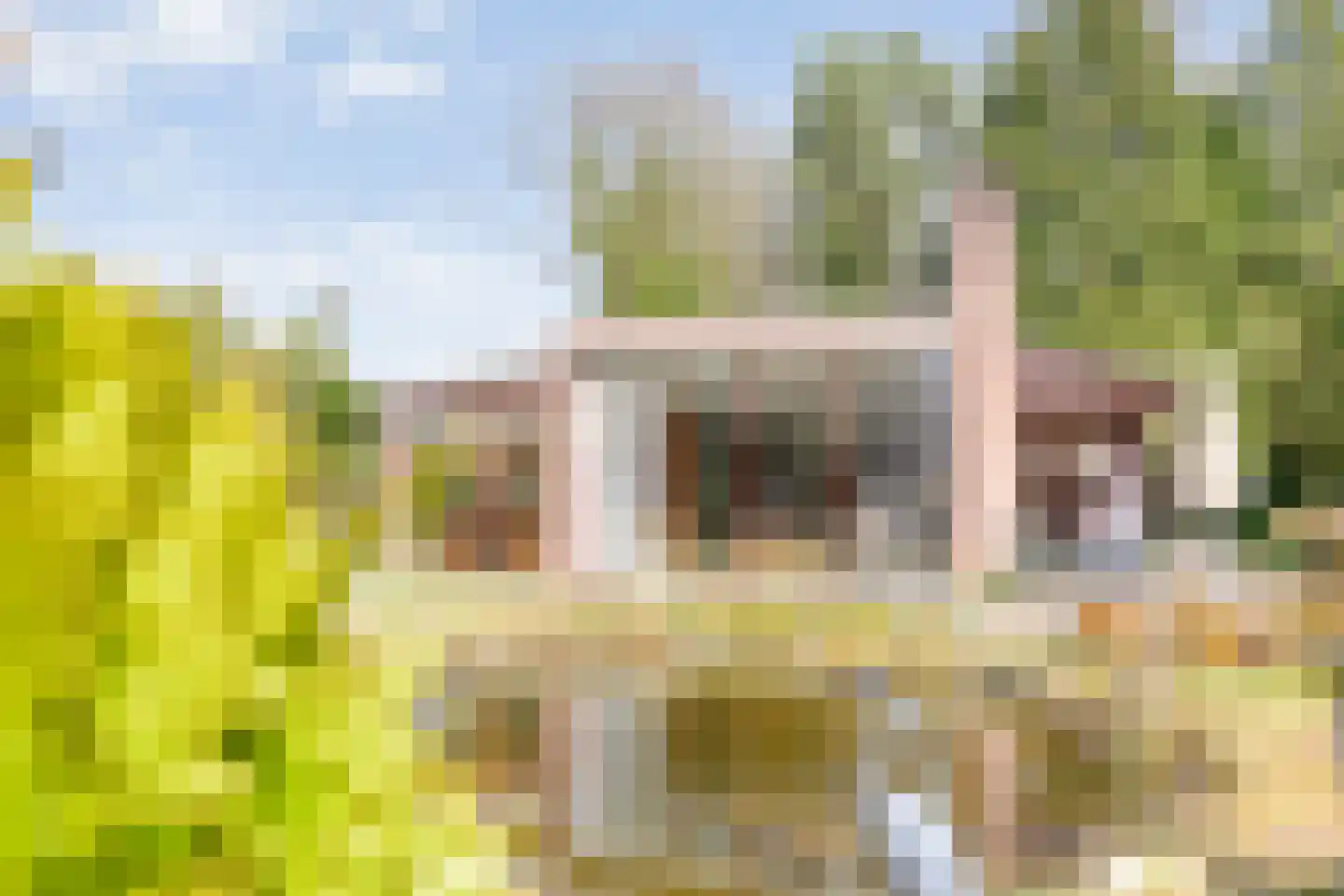 Koekangerveldweg 26 Koekange thumbnail 7