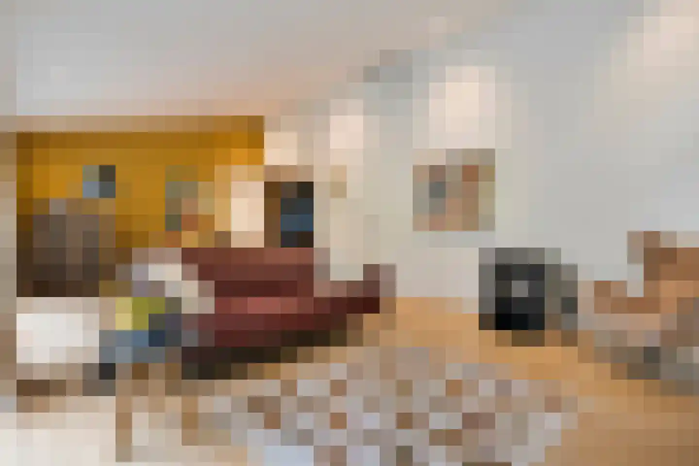 Koekangerveldweg 34 Koekange thumbnail 16