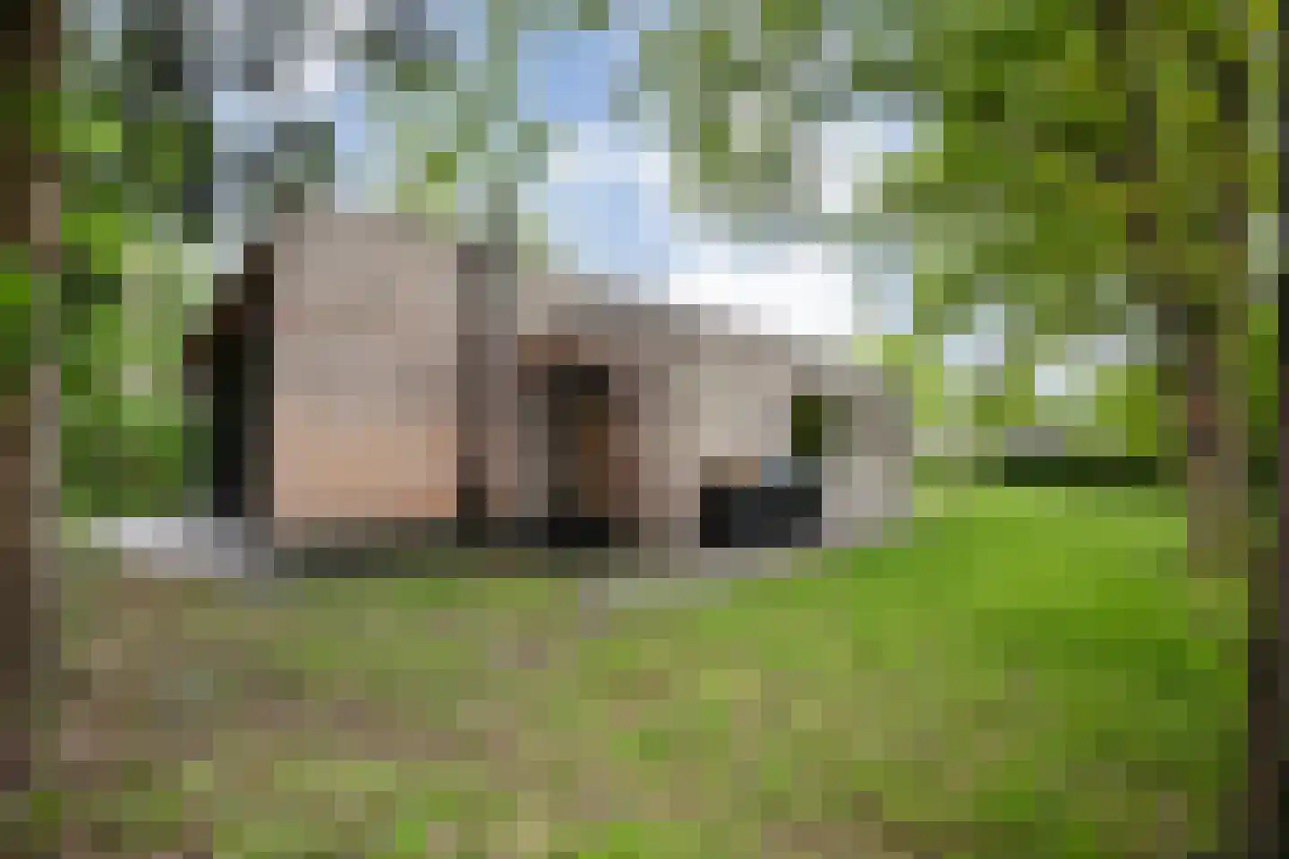 Koekangerveldweg 34 Koekange thumbnail 34