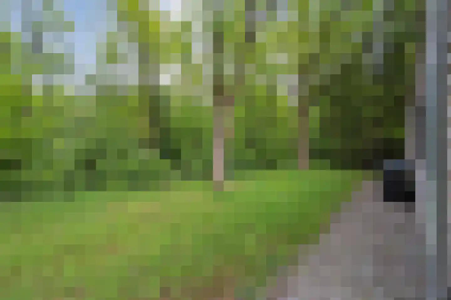 Koekangerveldweg 34 Koekange thumbnail 35