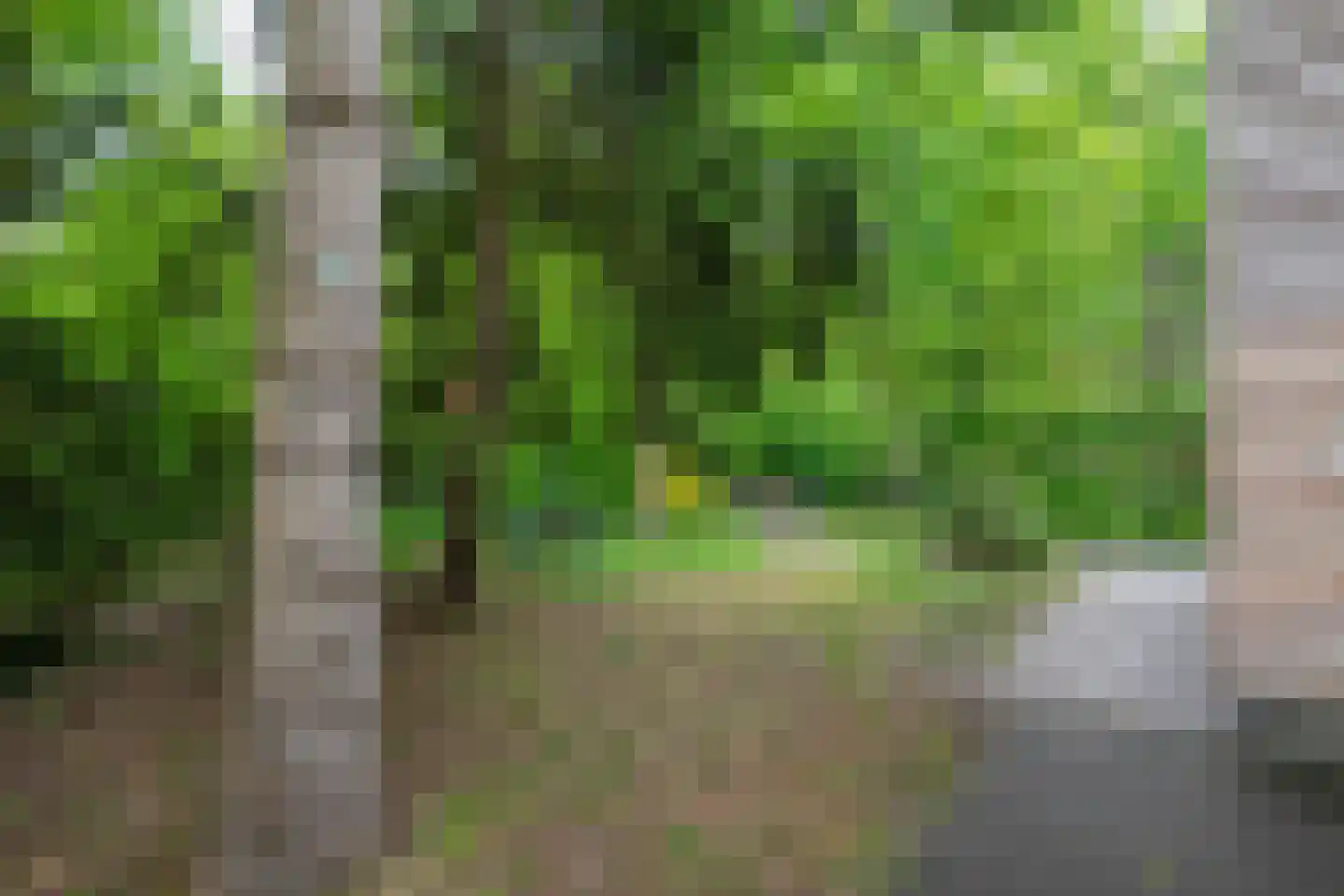 Koekangerveldweg 34 Koekange thumbnail 36