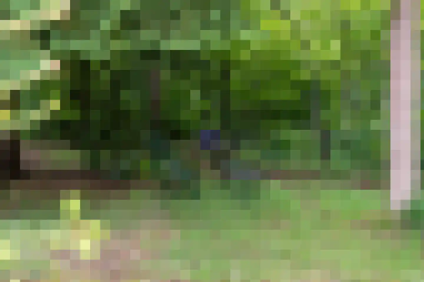 Koekangerveldweg 34 Koekange thumbnail 37