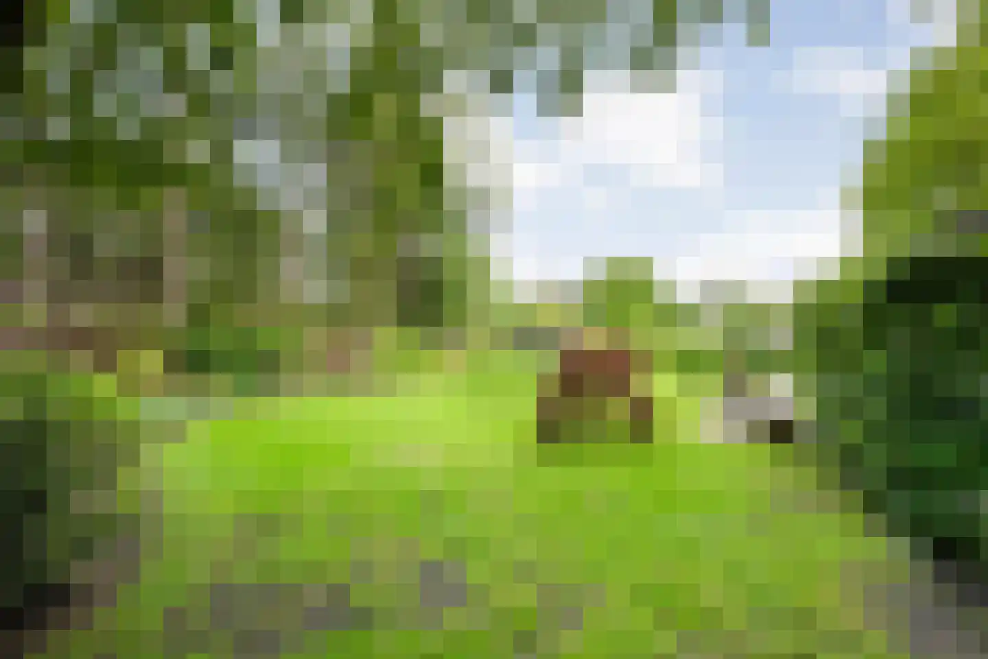 Koekangerveldweg 34 Koekange thumbnail 39