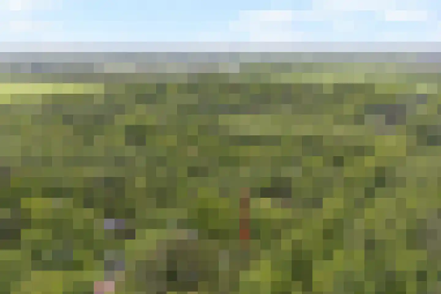 Koekangerveldweg 34 Koekange thumbnail 4