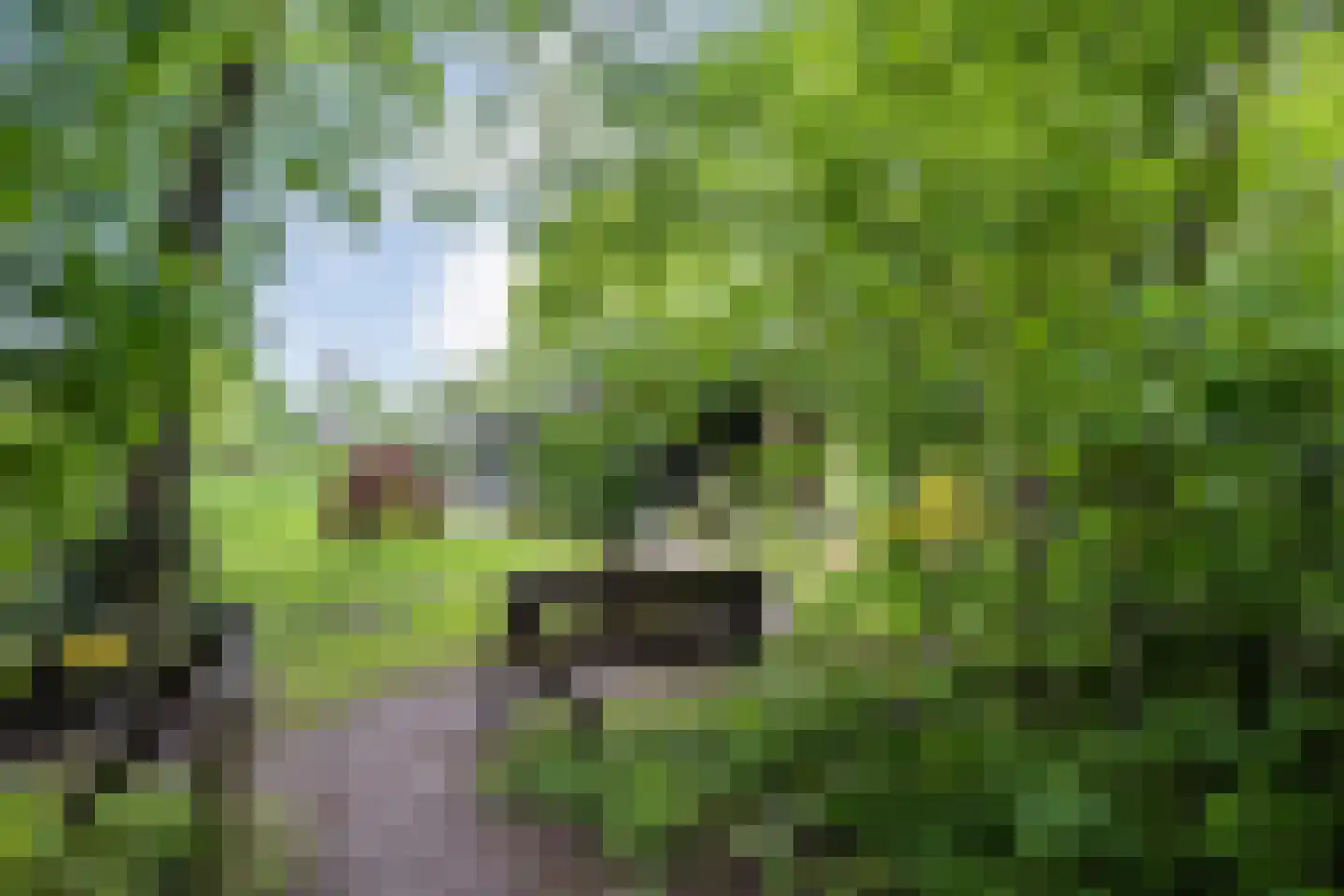 Koekangerveldweg 34 Koekange thumbnail 40