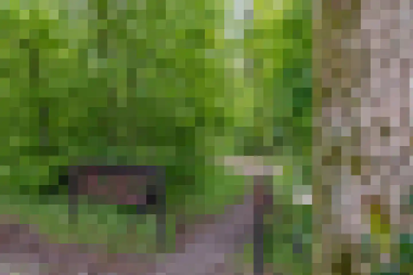 Koekangerveldweg 34 Koekange thumbnail 41