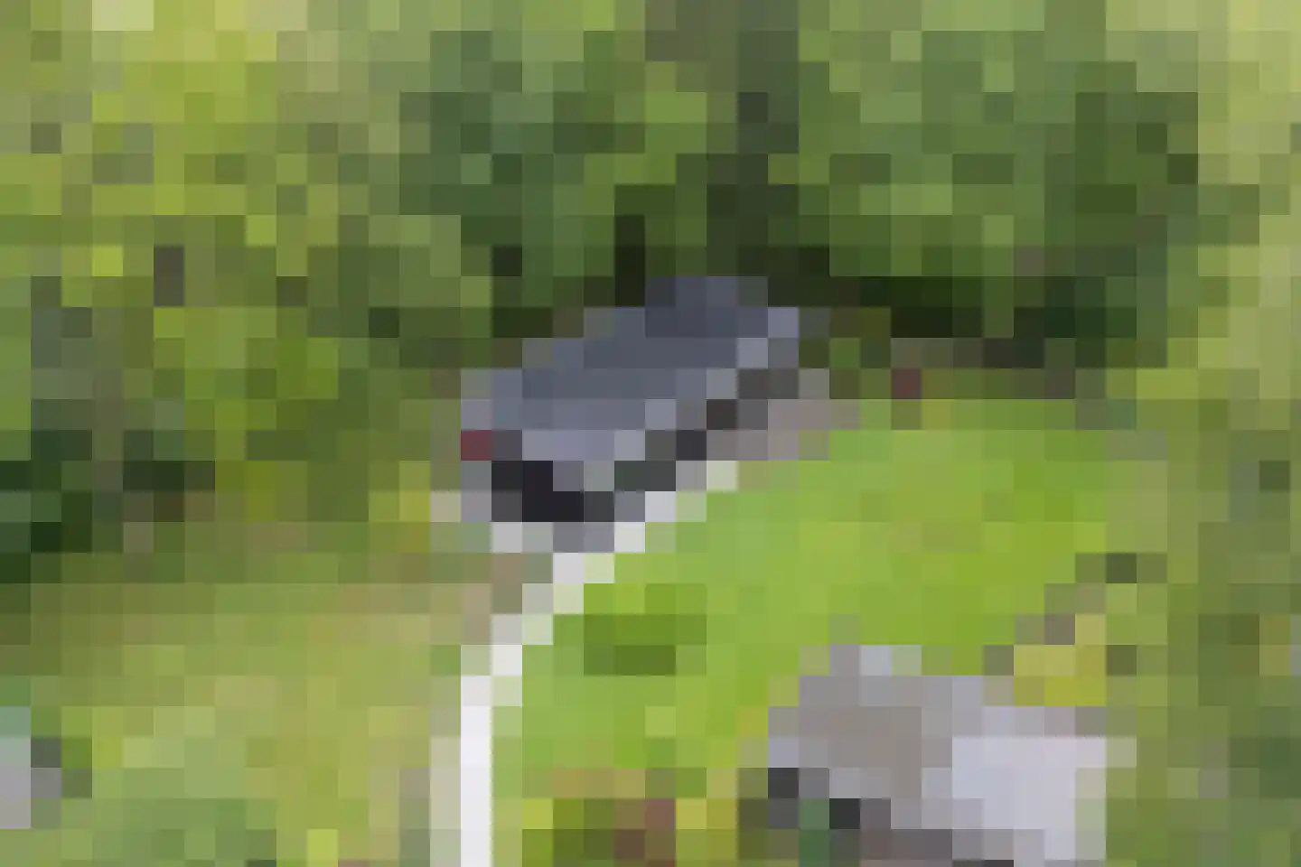 Koekangerveldweg 34 Koekange thumbnail 5