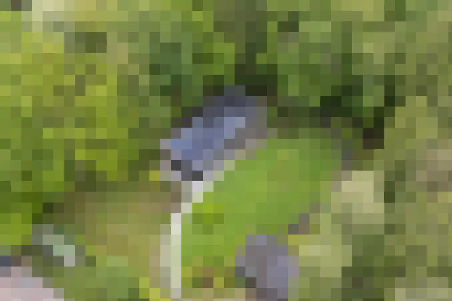 Koekangerveldweg 34 Koekange thumbnail 50