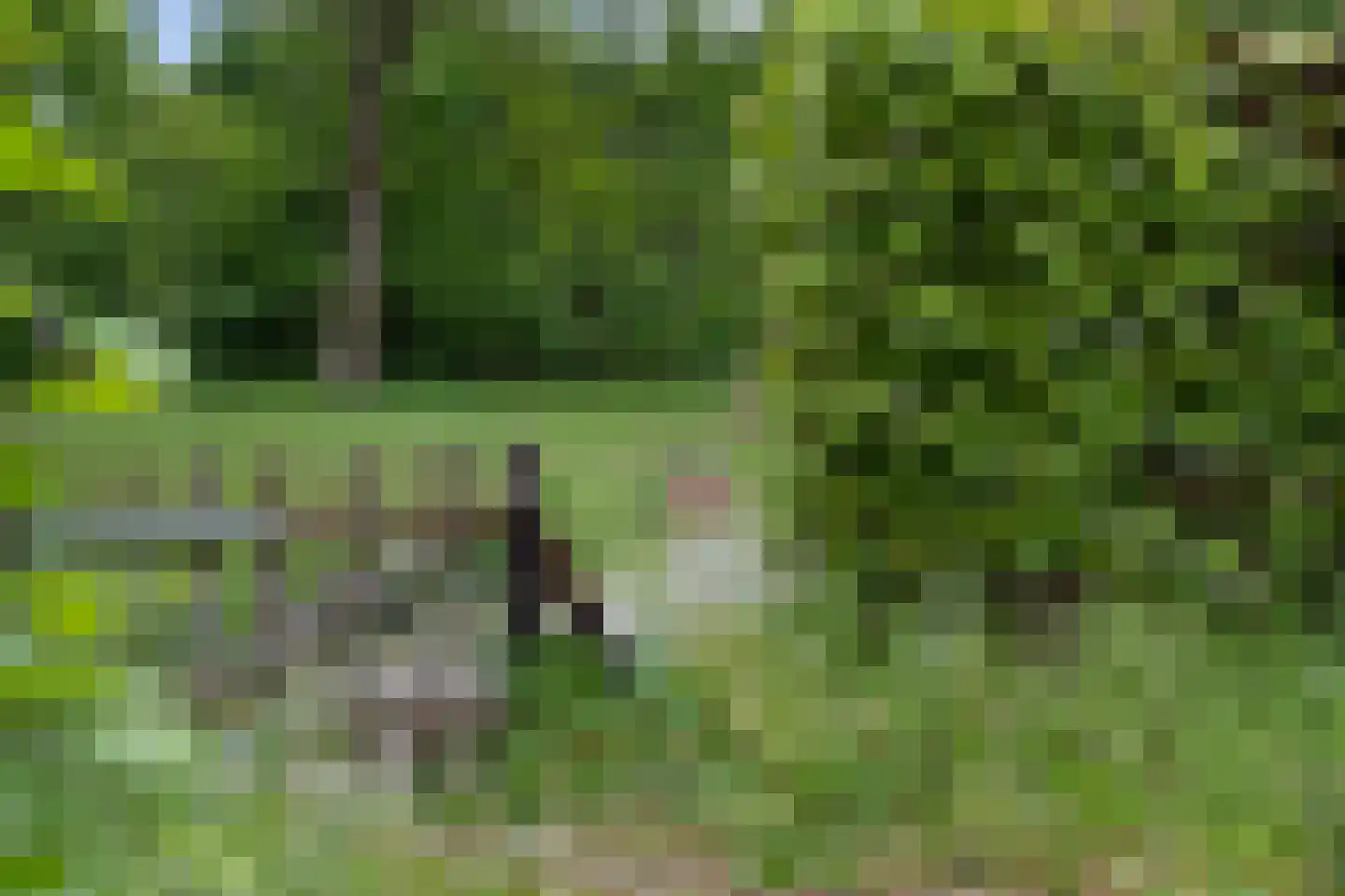 Koekangerveldweg 34 Koekange thumbnail 6