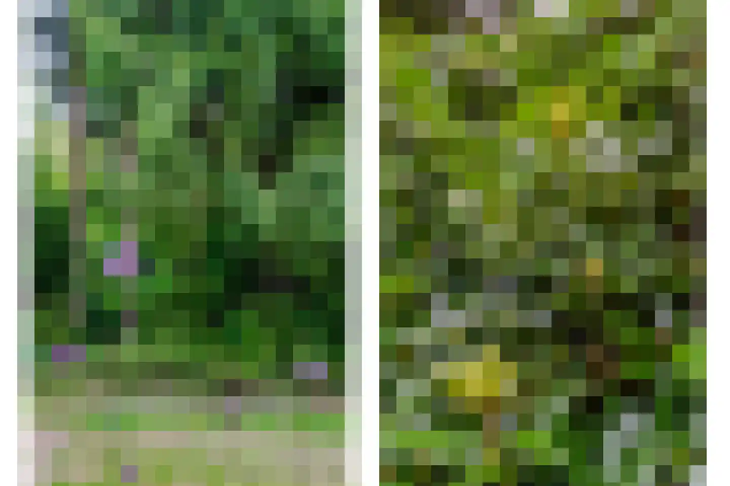 Koekangerveldweg 38 Koekange thumbnail 18