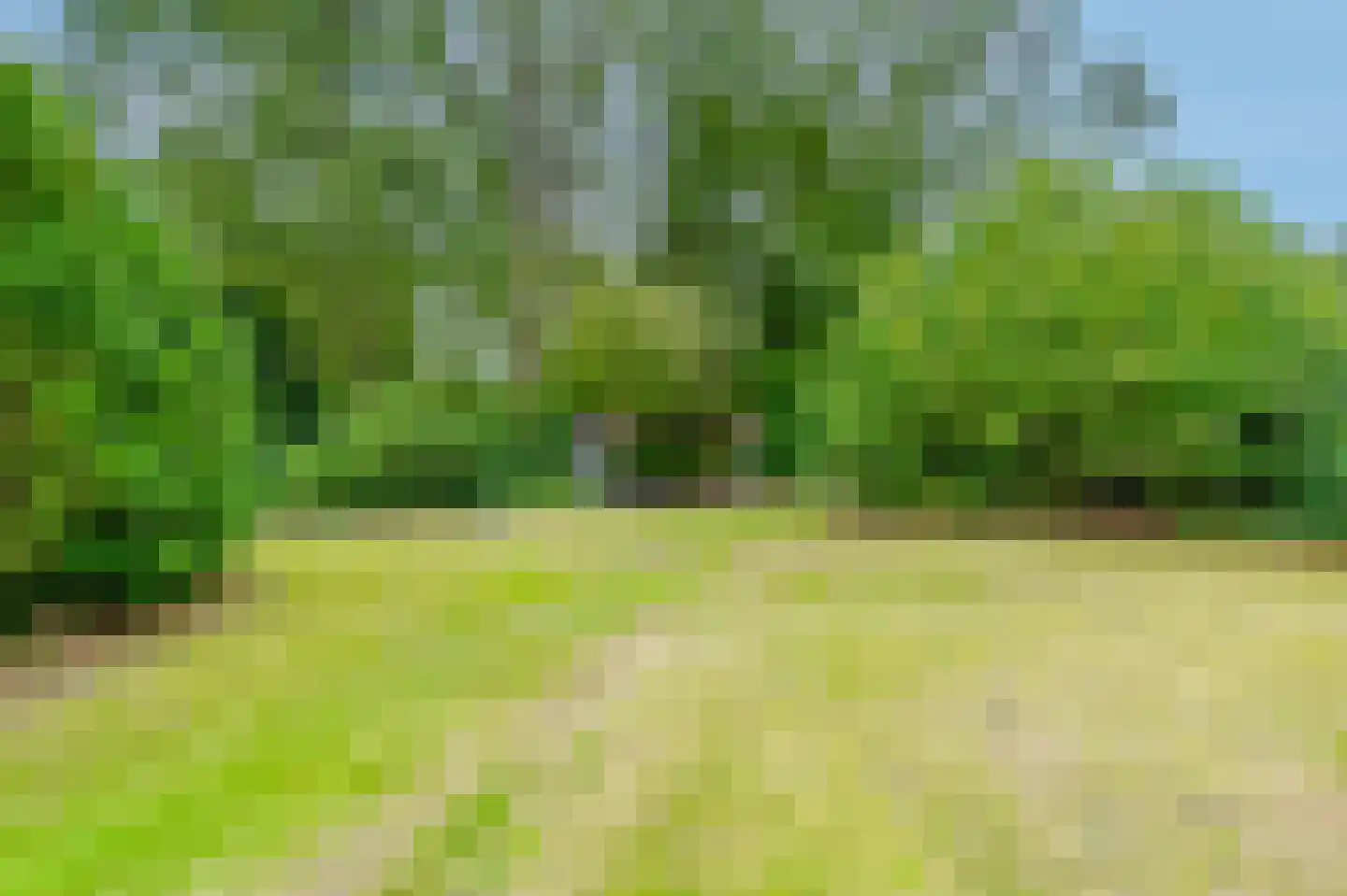 Koekangerveldweg 38 Koekange thumbnail 20