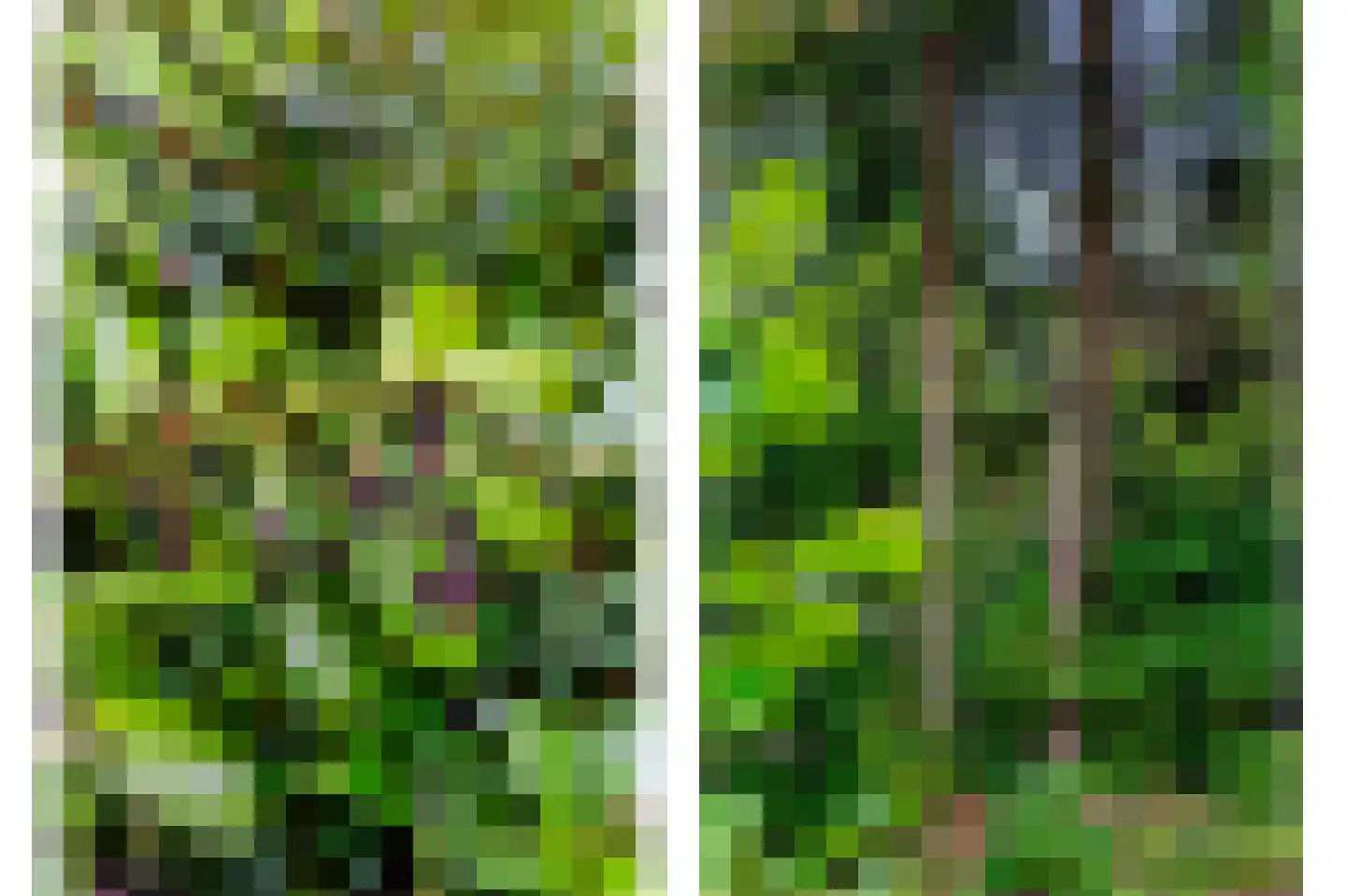 Koekangerveldweg 38 Koekange thumbnail 21