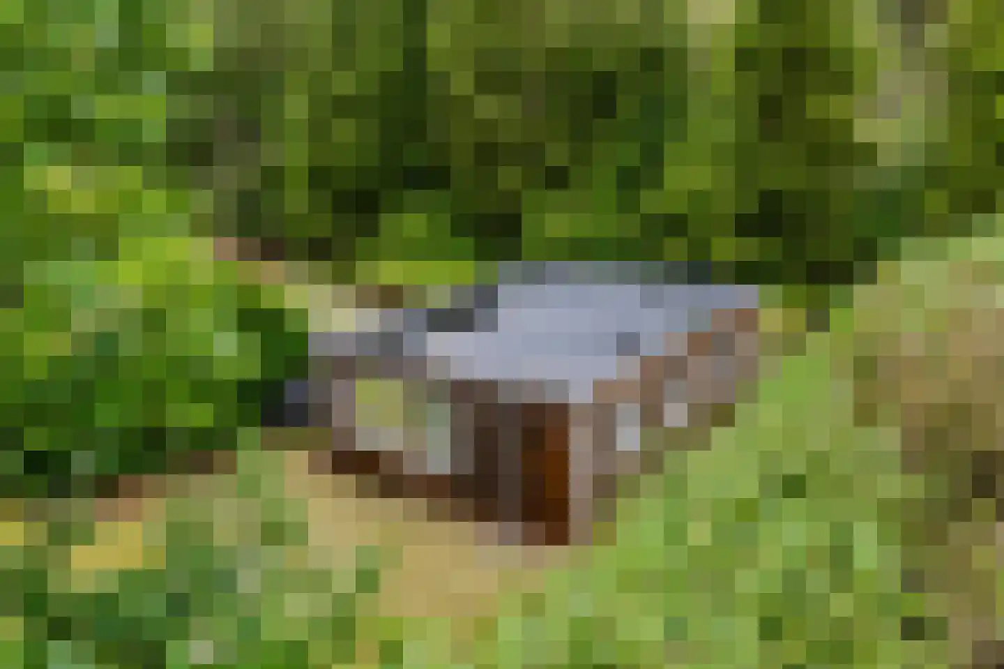 Koekangerveldweg 38 Koekange thumbnail 22