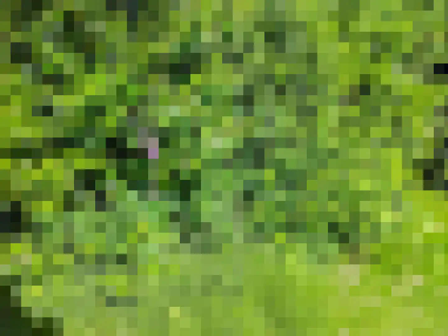 Koekangerveldweg 38 Koekange thumbnail 25
