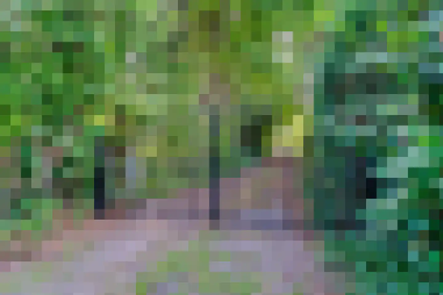 Koekangerveldweg 38 Koekange thumbnail 28