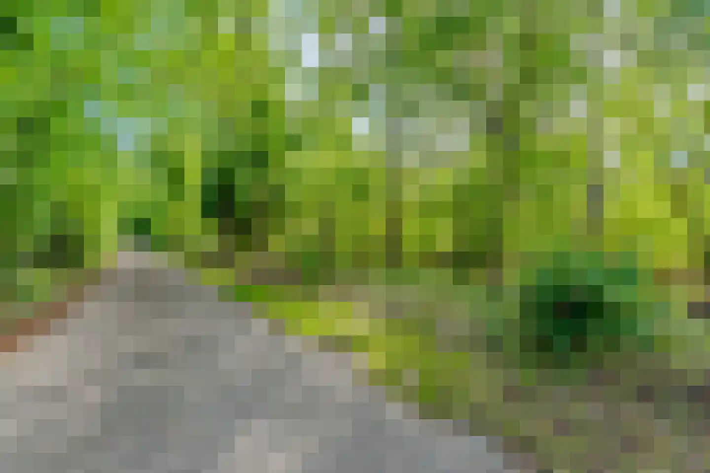 Koekangerveldweg 38 Koekange thumbnail 29