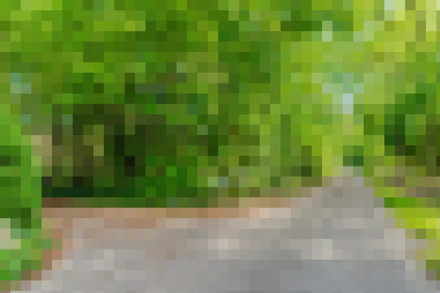 Koekangerveldweg 38 Koekange thumbnail 30