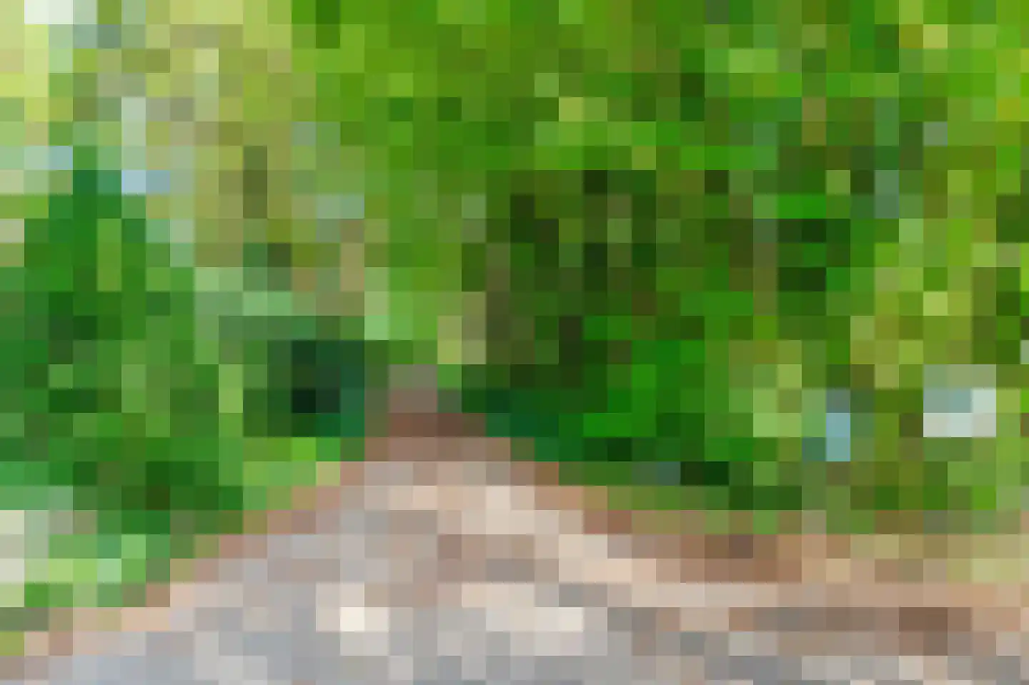 Koekangerveldweg 38 Koekange thumbnail 32