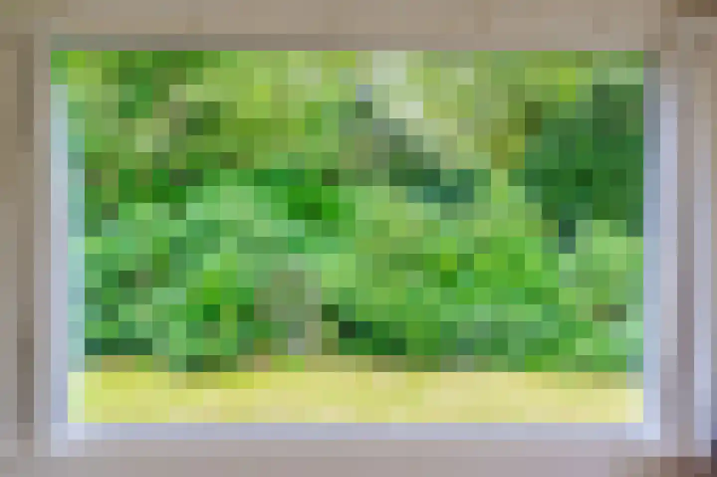 Koekangerveldweg 38 Koekange thumbnail 8