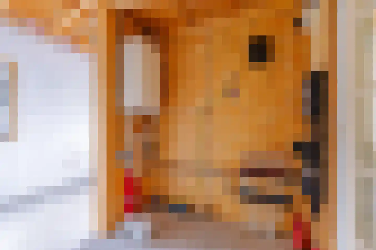 Koekangerveldweg 40 Koekange thumbnail 13